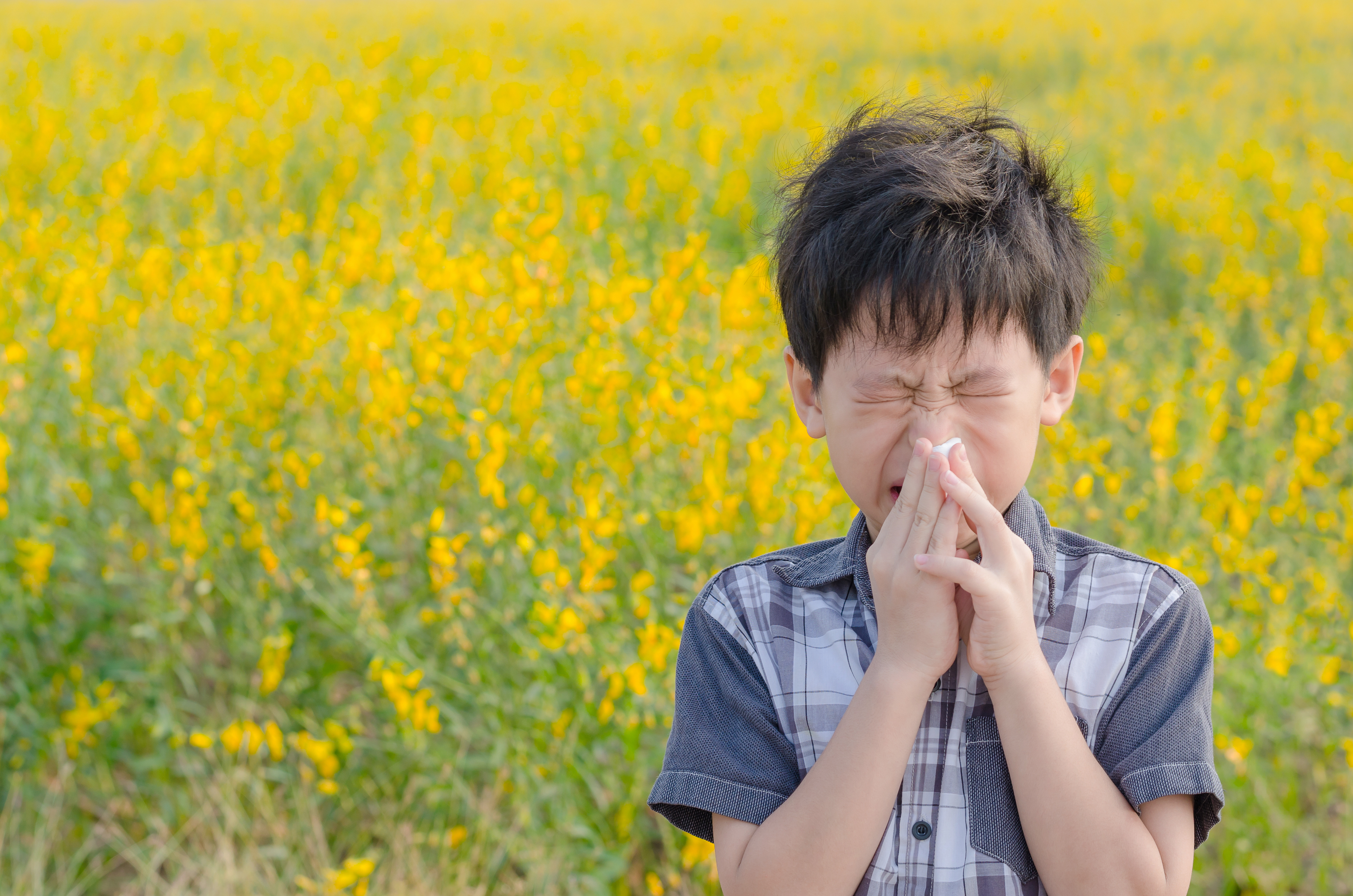 boy has allergies from flower pollen